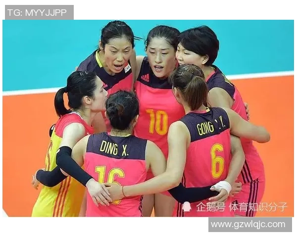 杭州排球队攻防新策略全面解析助力球队崛起的秘密武器
